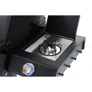 Grill gazowy Riwall PRO RGG21 do ogrodu i na taras